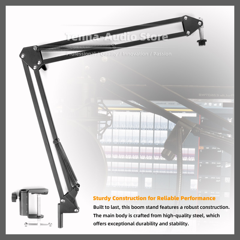 Soporte de micrófono, pieza Co - Microphone Arm Boom reseña y precio