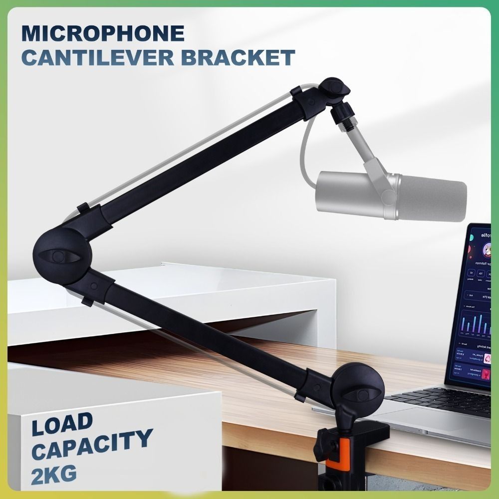 Profesional 360 °   Brazo de M - Microphone Arm Boom reseña y precio